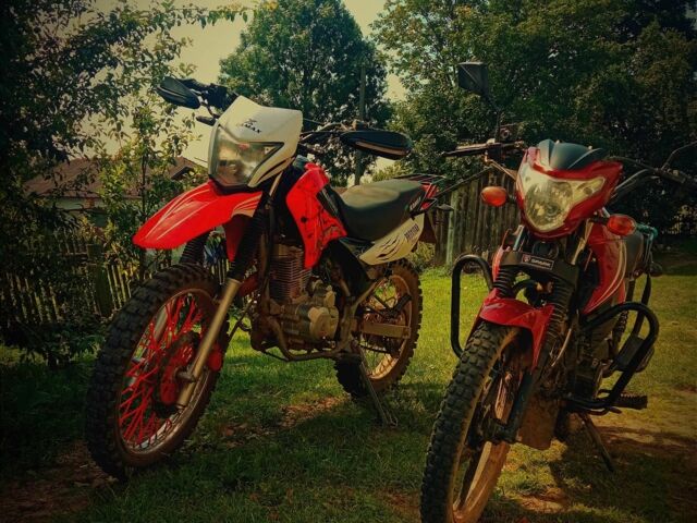 Альфа Другая, объемом двигателя 0.13 л и пробегом 0 тыс. км за 653 $, фото 2 на Automoto.ua