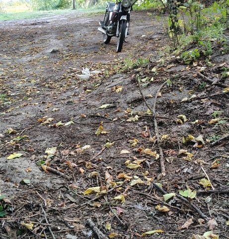 Альфа Другая, объемом двигателя 72 л и пробегом 0 тыс. км за 143 $, фото 1 на Automoto.ua