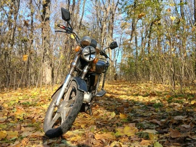 Альфа Другая, об'ємом двигуна 72 л та пробігом 0 тис. км за 239 $, фото 1 на Automoto.ua