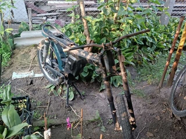 Альфа Другая, объемом двигателя 0.13 л и пробегом 0 тыс. км за 167 $, фото 2 на Automoto.ua