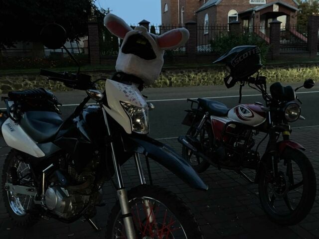 Альфа Другая, об'ємом двигуна 0.13 л та пробігом 0 тис. км за 350 $, фото 3 на Automoto.ua