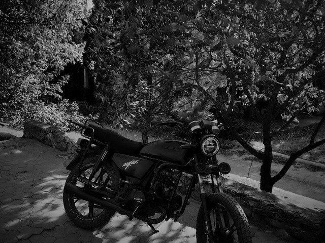 Альфа Другая 2008 у Синельниковом на Automoto.ua Альфа Другая, об'ємом двигуна 0.11 л та пробігом 0 тис. км за 417 $, фото 3 на Automoto.ua