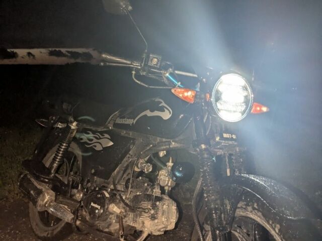 Альфа Другая, объемом двигателя 0.12 л и пробегом 0 тыс. км за 547 $, фото 5 на Automoto.ua