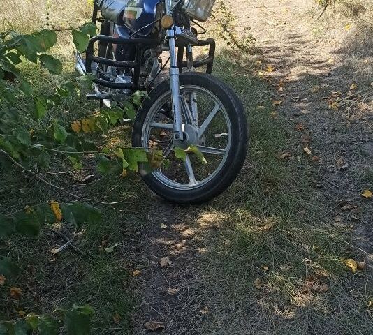 Альфа Другая, об'ємом двигуна 100 л та пробігом 0 тис. км за 218 $, фото 2 на Automoto.ua