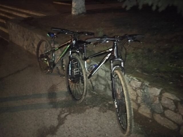 Альфа Другая, об'ємом двигуна 0.3 л та пробігом 0 тис. км за 1188 $, фото 1 на Automoto.ua