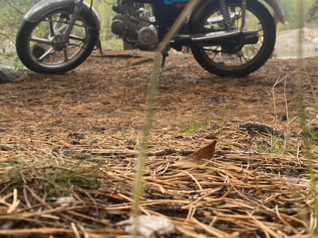 Альфа Другая 2000 в Коростышеве на Automoto.ua Альфа Другая, объемом двигателя 0.13 л и пробегом 0 тыс. км за 428 $, фото 2 на Automoto.ua