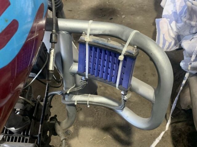 Альфа Другая 2008 у Оржице на Automoto.ua Альфа Другая, об'ємом двигуна 75 л та пробігом 0 тис. км за 286 $, фото 3 на Automoto.ua