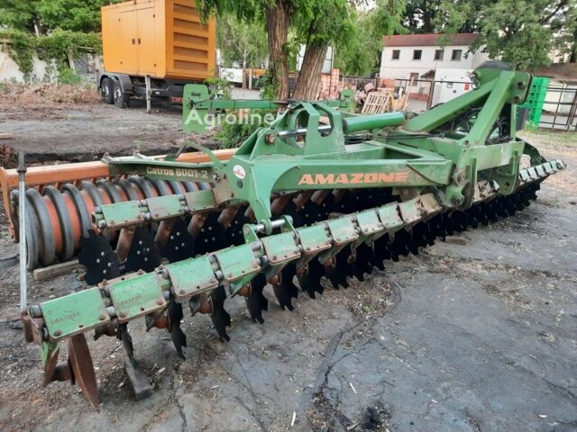 Амазони Другая, объемом двигателя 0 л и пробегом 0 тыс. км за 26895 $, фото 4 на Automoto.ua