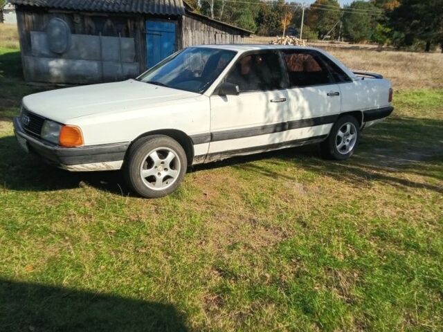 Ауди 100 1983 в Ковель на Automoto.ua Белый Ауди 100, объемом двигателя 1.8 л и пробегом 300 тыс. км за 1300 $, фото 1 на Automoto.ua