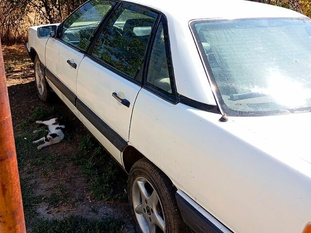 Ауди 100 1983 в Татарбунарах на Automoto.ua Белый Ауди 100, объемом двигателя 1.8 л и пробегом 111 тыс. км за 350 $, фото 4 на Automoto.ua