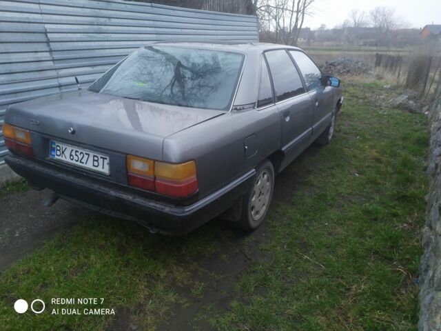 Ауди 100 1985 в Староконстантинов на Automoto.ua Серый Ауди 100, объемом двигателя 2 л и пробегом 3 тыс. км за 578 $, фото 1 на Automoto.ua