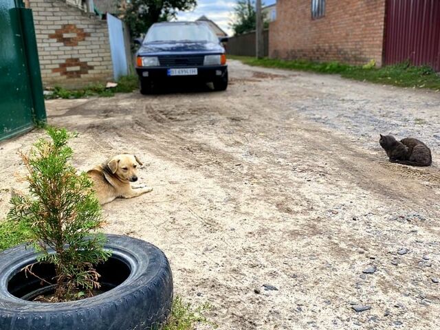 Синий Ауди 100, объемом двигателя 2.3 л и пробегом 0 тыс. км за 1700 $, фото 2 на Automoto.ua