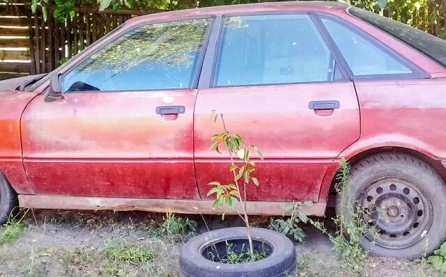 Красный Ауди 80, объемом двигателя 1.6 л и пробегом 1 тыс. км за 550 $, фото 1 на Automoto.ua
