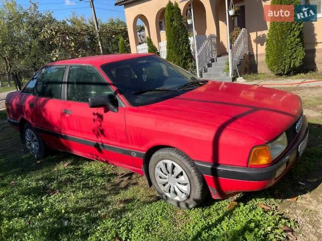 Ауди 80 1989 в Береговом на Automoto.ua Красный Ауди 80, объемом двигателя 1.8 л и пробегом 240 тыс. км за 1300 $, фото 1 на Automoto.ua