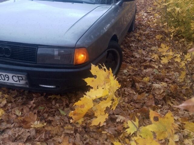 Ауди 80 1987 в Новоукраинке на Automoto.ua Серый Ауди 80, объемом двигателя 1.8 л и пробегом 300 тыс. км за 1188 $, фото 4 на Automoto.ua