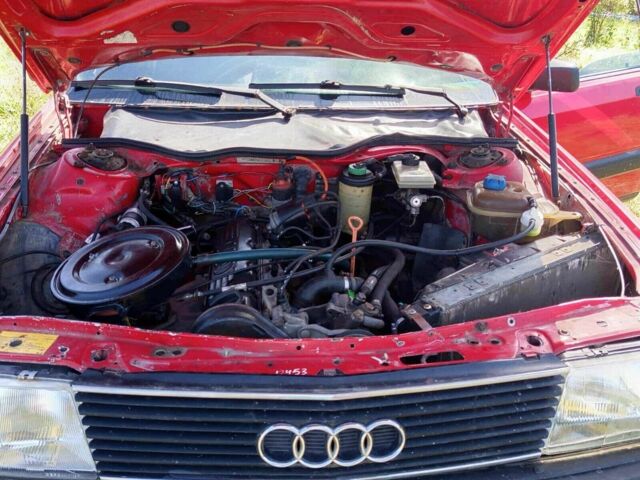 Ауди А1 1988 в Богородчанах на Automoto.ua Красный Ауди А1, объемом двигателя 0 л и пробегом 200 тыс. км за 800 $, фото 5 на Automoto.ua