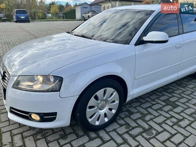 Ауди А3 2012 в Золочев на Automoto.ua Белый Ауди А3, объемом двигателя 1.39 л и пробегом 270 тыс. км за 7999 $, фото 30 на Automoto.ua