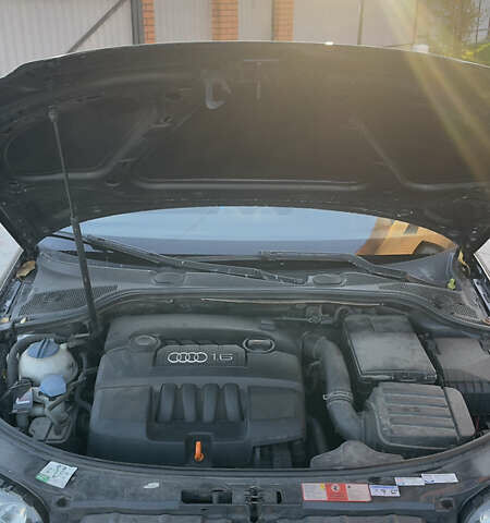 Черный Ауди А3, объемом двигателя 1.6 л и пробегом 325 тыс. км за 5900 $, фото 15 на Automoto.ua