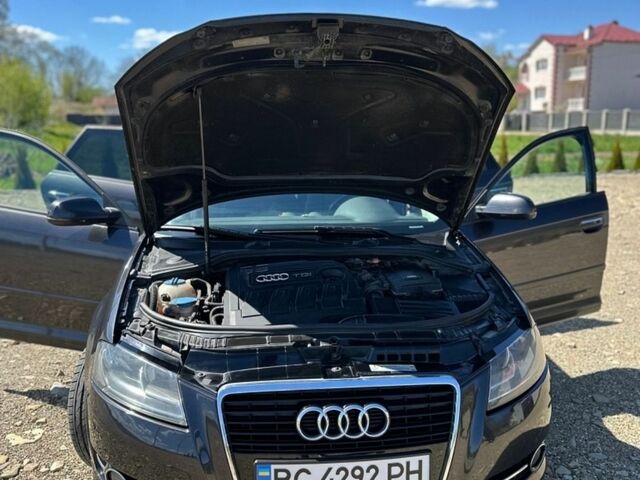 Чорний Ауді А3, об'ємом двигуна 1.6 л та пробігом 243 тис. км за 7700 $, фото 33 на Automoto.ua