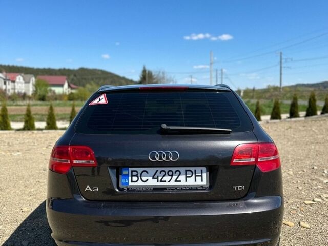 Чорний Ауді А3, об'ємом двигуна 1.6 л та пробігом 243 тис. км за 7700 $, фото 37 на Automoto.ua