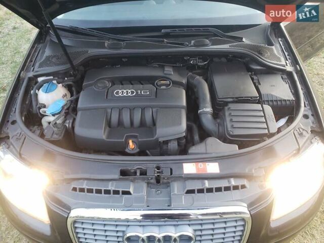 Коричневий Ауді А3, об'ємом двигуна 1.6 л та пробігом 210 тис. км за 7000 $, фото 14 на Automoto.ua