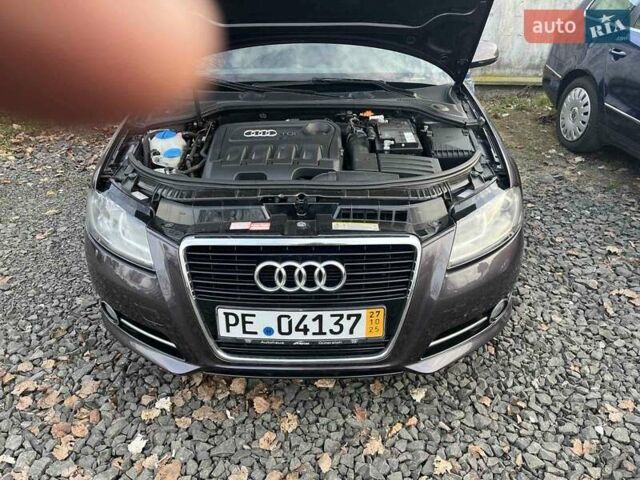 Коричневый Ауди А3, объемом двигателя 2 л и пробегом 235 тыс. км за 8850 $, фото 13 на Automoto.ua