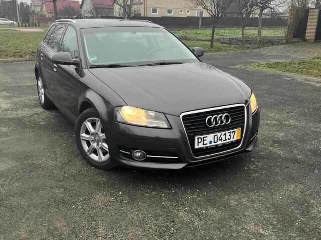 Коричневый Ауди А3, объемом двигателя 2 л и пробегом 235 тыс. км за 8800 $, фото 1 на Automoto.ua