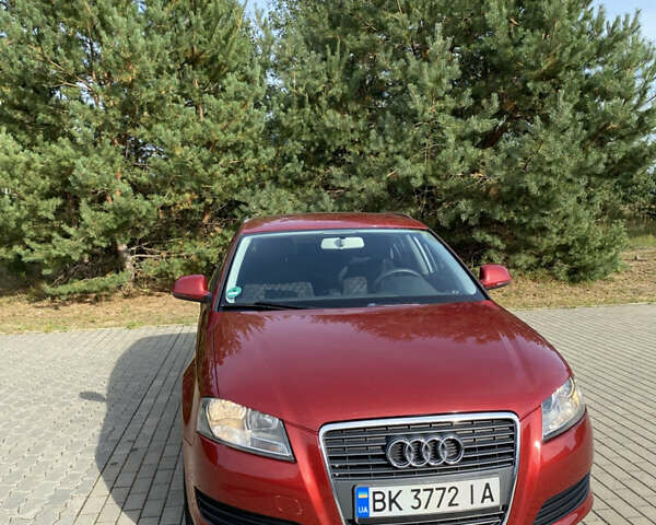 Ауди А3 2009 в Ровно на Automoto.ua Красный Ауди А3, объемом двигателя 1.4 л и пробегом 197 тыс. км за 7650 $, фото 1 на Automoto.ua