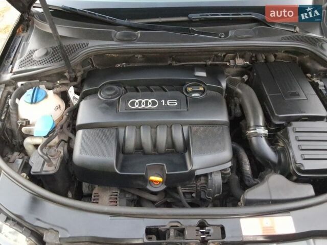 Ауди А3, объемом двигателя 1.6 л и пробегом 242 тыс. км за 7199 $, фото 30 на Automoto.ua
