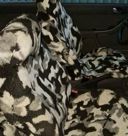 Серый Ауди А3, объемом двигателя 1.6 л и пробегом 192 тыс. км за 3200 $, фото 5 на Automoto.ua