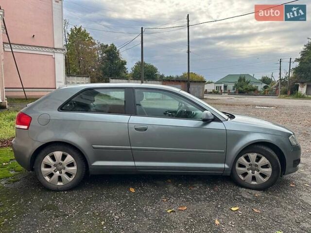 Ауді А3 2009 у Звенигородка на Automoto.ua Сірий Ауді А3, об'ємом двигуна 1.6 л та пробігом 218 тис. км за 7500 $, фото 1 на Automoto.ua
