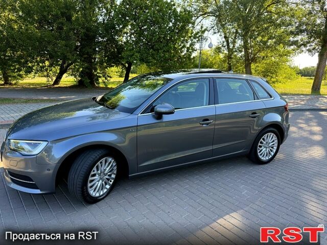 Ауді А3 2015 у Черкасах на Automoto.ua Сірий Ауді А3, об'ємом двигуна 2 л та пробігом 0 тис. км за 19500 $, фото 12 на Automoto.ua