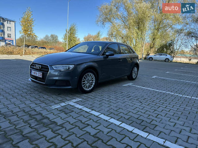 Ауді А3 2017 у Красилове на Automoto.ua Сірий Ауді А3, об'ємом двигуна 1.6 л та пробігом 138 тис. км за 17250 $, фото 5 на Automoto.ua