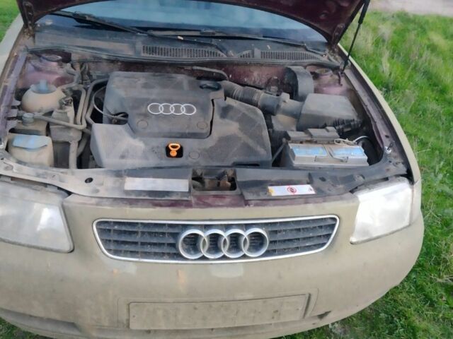 Зеленый Ауди А3, объемом двигателя 1.6 л и пробегом 270 тыс. км за 2337 $, фото 5 на Automoto.ua