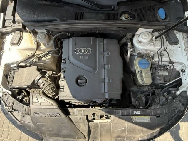 Білий Ауді А4, об'ємом двигуна 2 л та пробігом 278 тис. км за 10501 $, фото 12 на Automoto.ua
