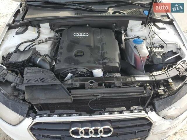 Ауди А4 2015 в Львове на Automoto.ua Белый Ауди А4, объемом двигателя 2 л и пробегом 158 тыс. км за 2699 $, фото 10 на Automoto.ua