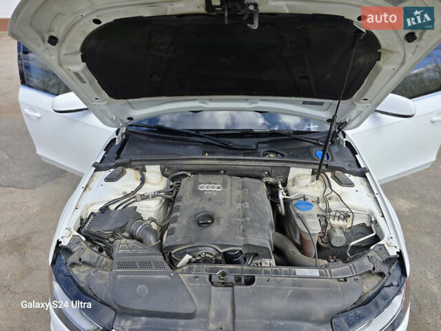 Ауди А4 2015 в Умани на Automoto.ua Белый Ауди А4, объемом двигателя 1.98 л и пробегом 198 тыс. км за 14500 $, фото 15 на Automoto.ua