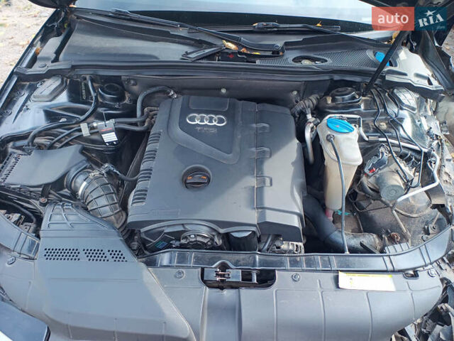 Чорний Ауді А4, об'ємом двигуна 1.98 л та пробігом 266 тис. км за 4900 $, фото 17 на Automoto.ua
