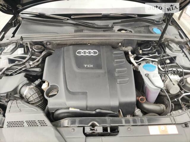 Ауди А4, объемом двигателя 2 л и пробегом 287 тыс. км за 8500 $, фото 22 на Automoto.ua