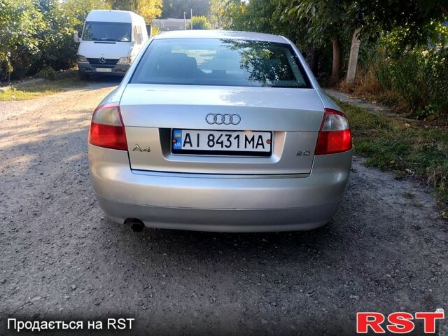 Серый Ауди А4, объемом двигателя 2 л и пробегом 298 тыс. км за 5200 $, фото 2 на Automoto.ua