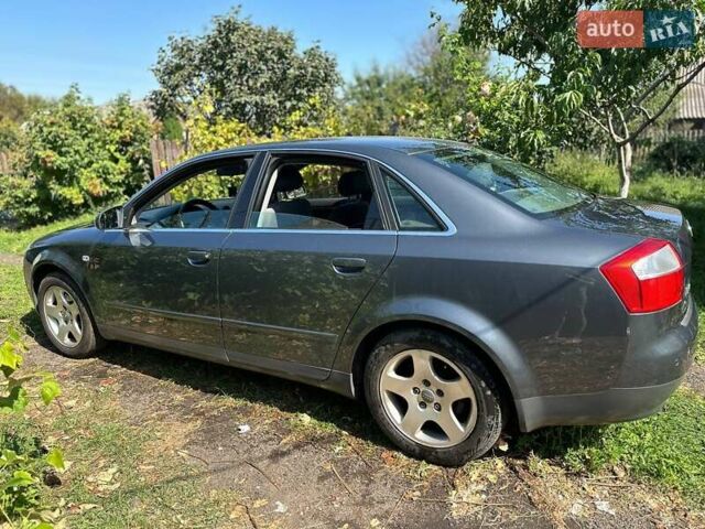Ауді А4 2002 у Житомирі на Automoto.ua Сірий Ауді А4, об'ємом двигуна 1.6 л та пробігом 259 тис. км за 5600 $, фото 1 на Automoto.ua