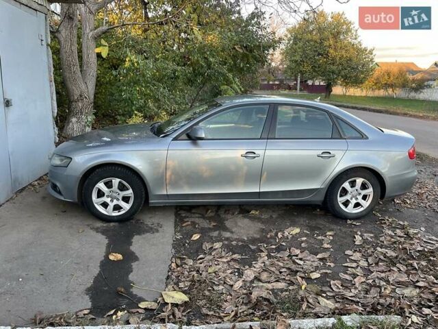 Ауди А4 2008 в Голованевске на Automoto.ua Серый Ауди А4, объемом двигателя 1.8 л и пробегом 250 тыс. км за 8499 $, фото 13 на Automoto.ua