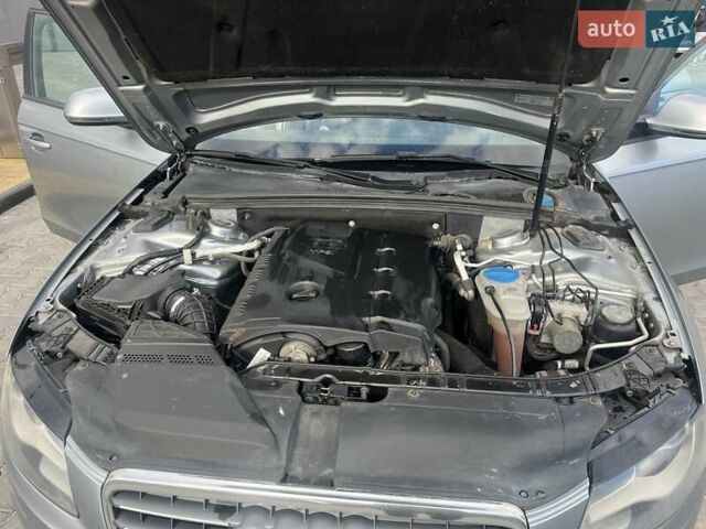 Ауди А4 2008 в Голованевске на Automoto.ua Серый Ауди А4, объемом двигателя 1.8 л и пробегом 250 тыс. км за 8499 $, фото 23 на Automoto.ua