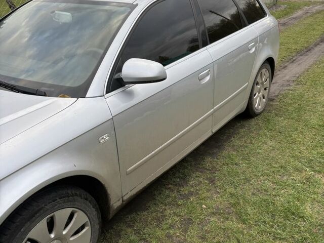 Ауді А4 2006 у Ковель на Automoto.ua Сірий Ауді А4, об'ємом двигуна 2 л та пробігом 330 тис. км за 4500 $, фото 1 на Automoto.ua