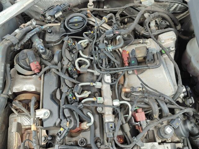 Сірий Ауді А4, об'ємом двигуна 2 л та пробігом 300 тис. км за 19500 $, фото 17 на Automoto.ua