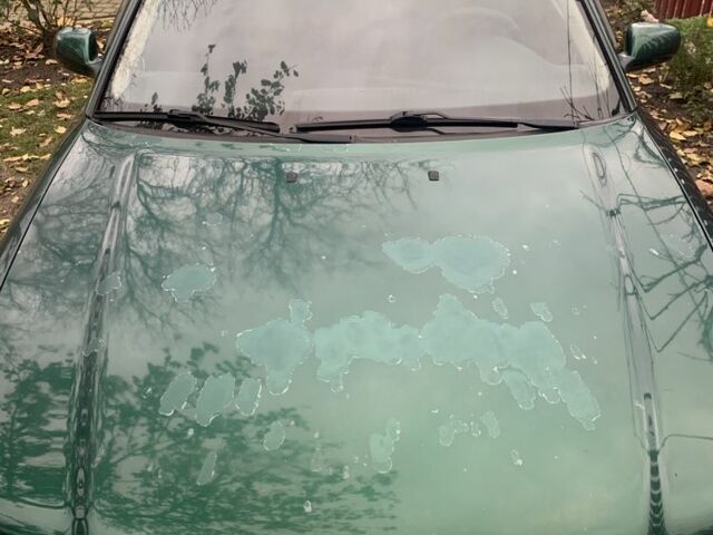 Зеленый Ауди А4, объемом двигателя 1.9 л и пробегом 283 тыс. км за 3900 $, фото 6 на Automoto.ua