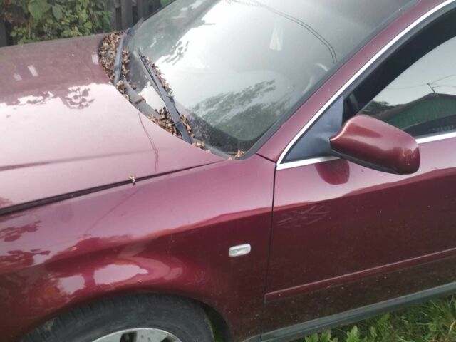 Красный Ауди А5, объемом двигателя 2.5 л и пробегом 3 тыс. км за 1536 $, фото 2 на Automoto.ua