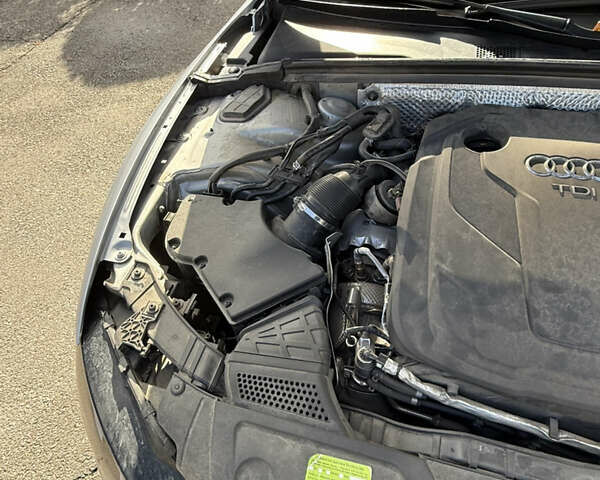 Ауди А5 2016 в Тернополе на Automoto.ua Серый Ауди А5, объемом двигателя 1.97 л и пробегом 222 тыс. км за 15650 $, фото 37 на Automoto.ua