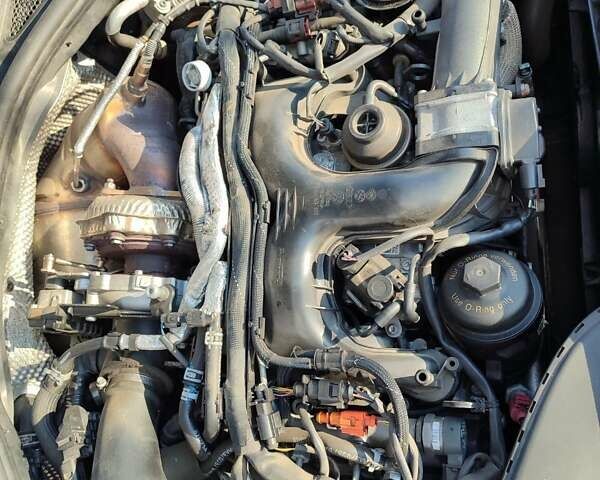 Ауді А6, об'ємом двигуна 2.97 л та пробігом 275 тис. км за 19700 $, фото 37 на Automoto.ua