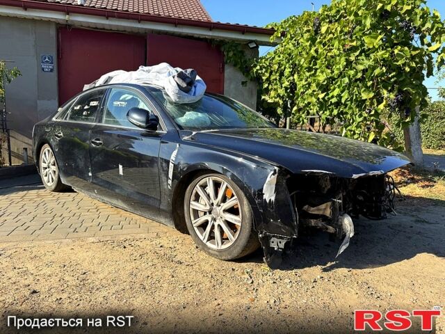 Ауді A8, об'ємом двигуна 4.2 л та пробігом 0 тис. км за 3500 $, фото 1 на Automoto.ua